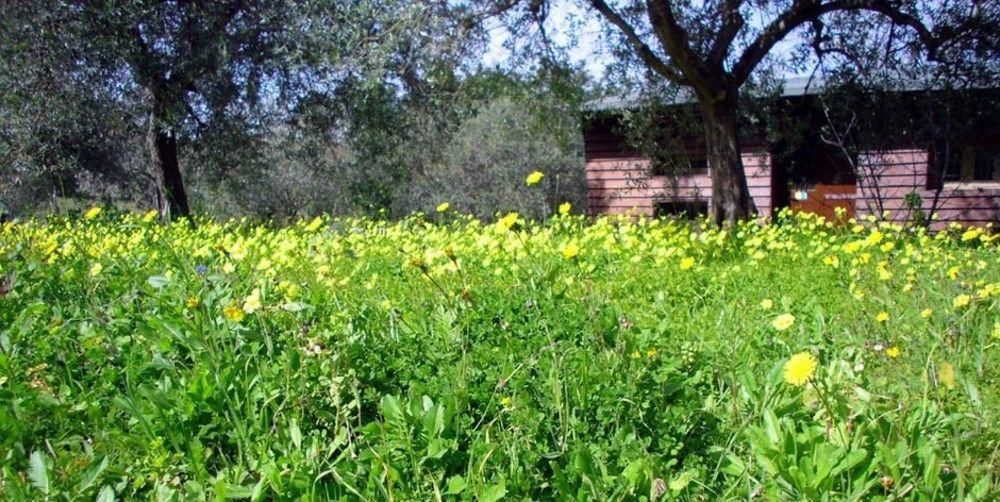 נוטו Agriturismo Terra Di Pace מראה חיצוני תמונה